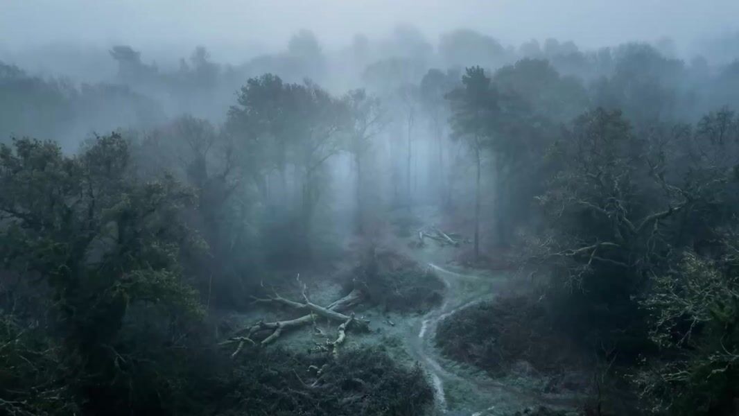 A highly ambitious AI-generated long-form piece moving through memory, nature, and consciousness.